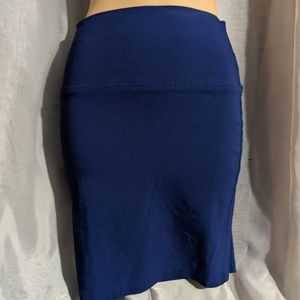 Blue Pencil Skirt